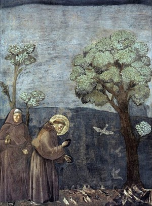 Szent Ferenc a madaraknak prédikál – Giotto festménye
